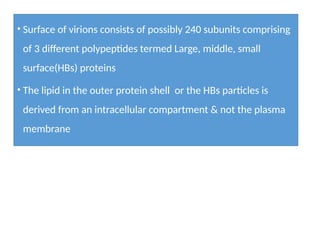.
• Surface of virions consists of possibly 240 subunits comprising
of 3 different polypeptides termed Large, middle, small
surface(HBs) proteins
• The lipid in the outer protein shell or the HBs particles is
derived from an intracellular compartment & not the plasma
membrane
 