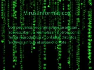Virus Informáticos

Son pequeños programas que se adosan ,
sobrescriben, o reemplazan a otros, con el
fin de reproducirse y contagiar distintos
archivos sin que el usuario lo note
 