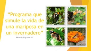 “Programa que
simule la vida de
una mariposa en
un invernadero”
Reto de programación
 