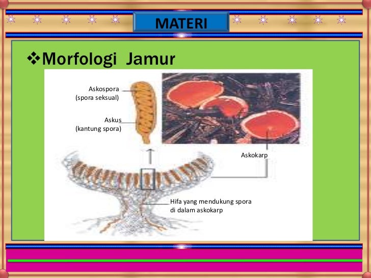 Virus dan jamur 