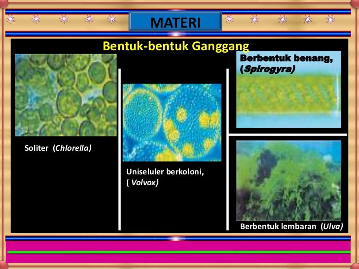 Virus dan jamur