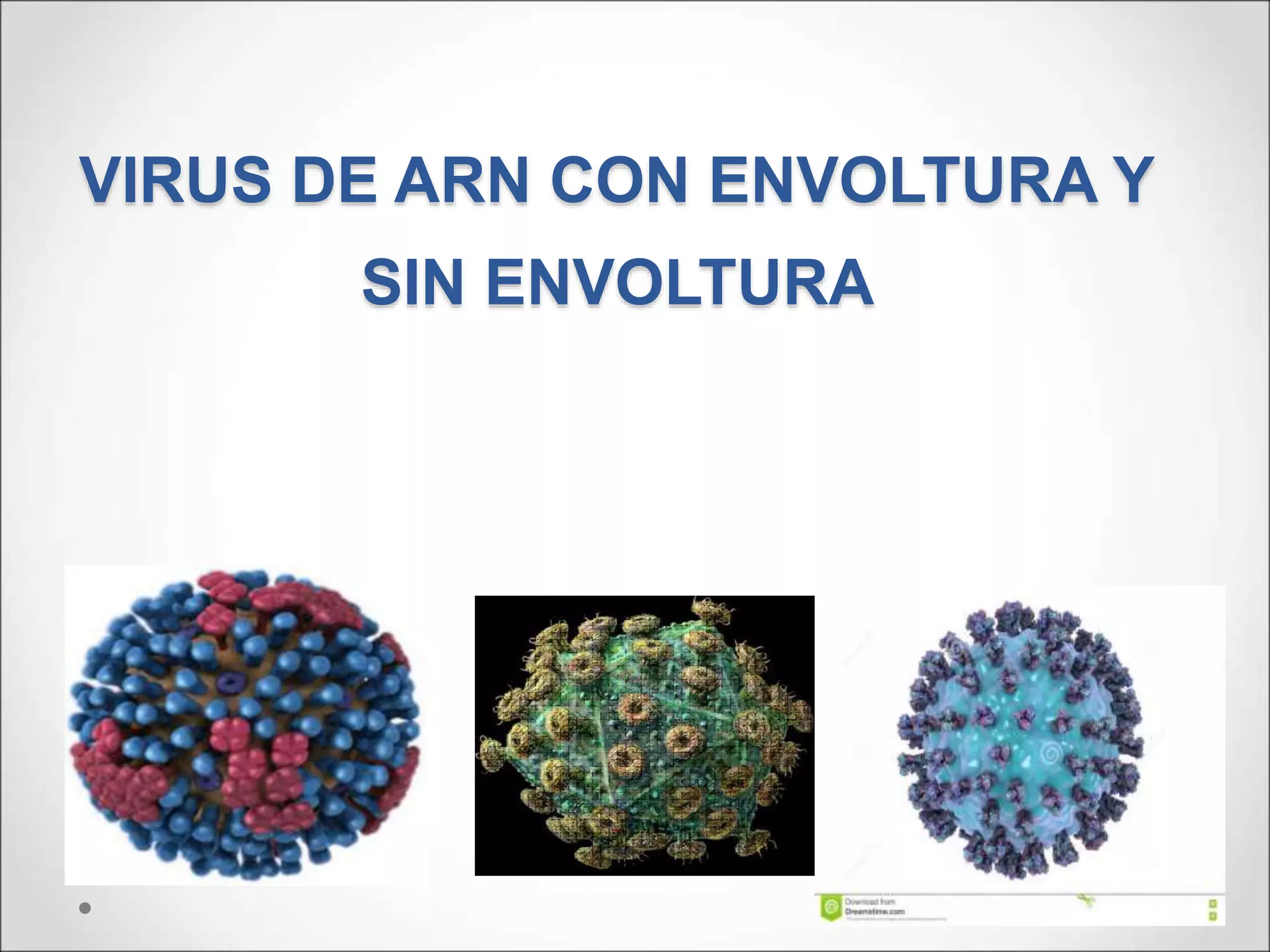 Virus de ARN con y sin envoltura 2020 2 | PPT