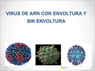 VIRUS DE ARN CON ENVOLTURA Y
SIN ENVOLTURA
 