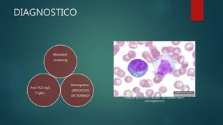 DIAGNOSTICO
Monotest:
screening
Hemograma .
LINFOCITOS
DE DOWNEY
Anti VCA (igG
Y igM )
Linfocito de Downey causado por Epstein-barr o
citomegalovirus
 