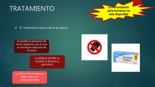 TRATAMIENTO
 El tratamiento que se da es de apoyo.
Es posible la presencia de
rotura esplénica, por lo que
se restringen deportes de
contacto
La ADNpol del EBV es
sensible al Aciclovir y
ganciclovir
La obstrucción laríngea se
debe tratar con
corticoesteroides
 