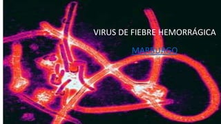 VIRUS DE FIEBRE HEMORRÁGICA
MARBURGO
 