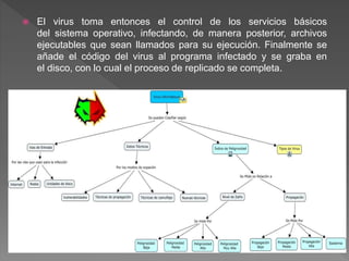  El virus toma entonces el control de los servicios básicos
del sistema operativo, infectando, de manera posterior, archivos
ejecutables que sean llamados para su ejecución. Finalmente se
añade el código del virus al programa infectado y se graba en
el disco, con lo cual el proceso de replicado se completa.
 