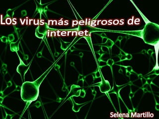 Virus de internet12