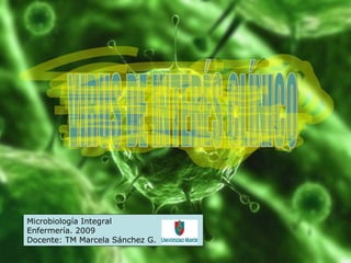 VIRUS DE INTERÉS CLÍNICO Microbiología Integral Enfermería. 2009 Docente: TM Marcela Sánchez G. 