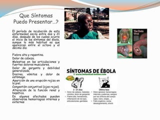 Que Síntomas 
Puedo Presentar…? 
El período de incubación de esta 
enfermedad oscila entre dos y 21 
días, después de los cuales ocurre 
el inicio de los síntomas del ébola, 
aunque lo más habitual es que 
aparezcan entre el octavo y el 
décimo día: 
Fiebre alta y repentina. 
Dolor de cabeza. 
Molestias en las articulaciones y 
fuertes dolores musculares. 
Dolor de garganta y debilidad 
generalizada. 
Diarrea, vómitos y dolor de 
estómago. 
Aparición de una erupción rojiza en 
la piel. 
Congestión conjuntival (ojos rojos). 
Alteración de la función renal y 
hepática. 
En algunos afectados pueden 
observarse hemorragias internas y 
externas 
 