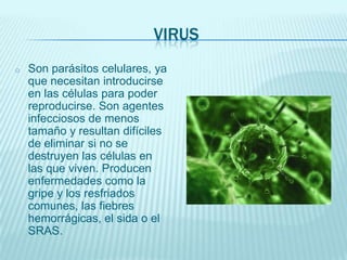 VIRUS
o

Son parásitos celulares, ya
que necesitan introducirse
en las células para poder
reproducirse. Son agentes
infecciosos de menos
tamaño y resultan difíciles
de eliminar si no se
destruyen las células en
las que viven. Producen
enfermedades como la
gripe y los resfriados
comunes, las fiebres
hemorrágicas, el sida o el
SRAS.

 