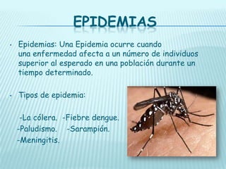 EPIDEMIAS
•

•

Epidemias: Una Epidemia ocurre cuando
una enfermedad afecta a un número de individuos
superior al esperado en una población durante un
tiempo determinado.
Tipos de epidemia:
-La cólera. -Fiebre dengue.
-Paludismo. -Sarampión.
-Meningitis.

 