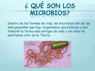¿ QUÉ SON LOS
MICROBIOS?
•

Dentro de las formas de vida, los microbios son de las
más pequeñas que hay: organismos unicelulares y son
también la forma más antigua de vida y sin ellos no
podríamos vivir en la Tierra.

 