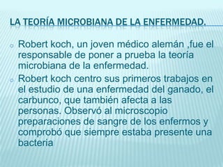 LA TEORÍA MICROBIANA DE LA ENFERMEDAD.
o

o

Robert koch, un joven médico alemán ,fue el
responsable de poner a prueba la teoría
microbiana de la enfermedad.
Robert koch centro sus primeros trabajos en
el estudio de una enfermedad del ganado, el
carbunco, que también afecta a las
personas. Observó al microscopio
preparaciones de sangre de los enfermos y
comprobó que siempre estaba presente una
bacteria

 