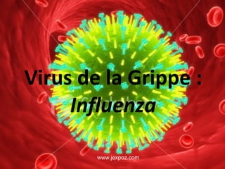 Virus de la Grippe :  Influenza www.jexpoz.com 
