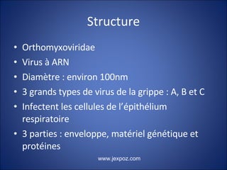 Structure Orthomyxoviridae Virus à ARN Diamètre : environ 100nm 3 grands types de virus de la grippe : A, B et C Infectent les cellules de l’épithélium respiratoire 3 parties : enveloppe, matériel génétique et protéines www.jexpoz.com 