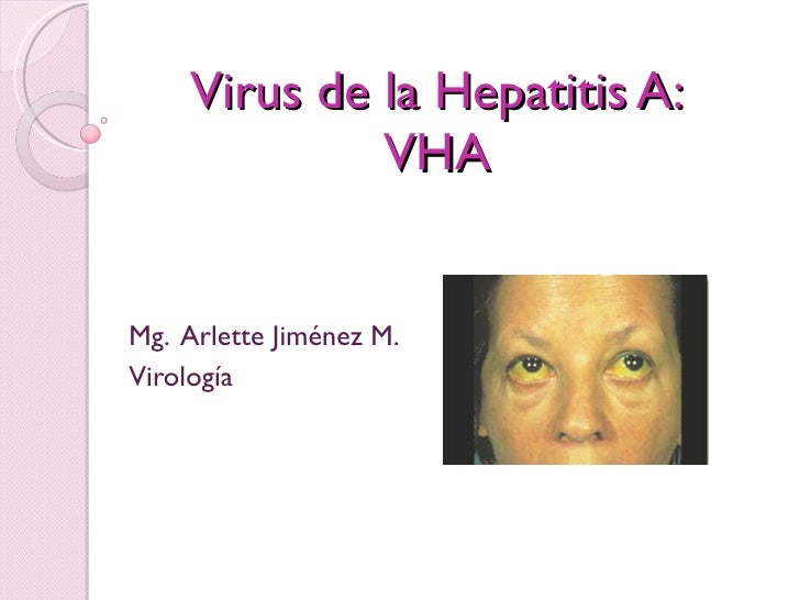 virus de la hepatitis a vha
