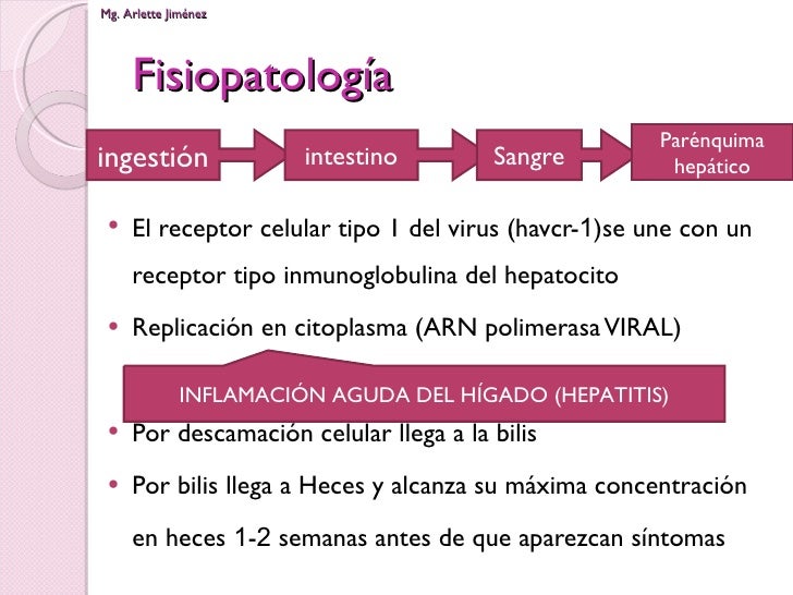 Virus de la Hepatitis A: VHA