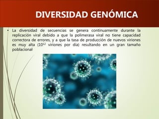 • La diversidad de secuencias se genera continuamente durante la
replicación viral debido a que la polimerasa viral no tiene capacidad
correctora de errores, y a que la tasa de producción de nuevos viriones
es muy alta (1012 viriones por día) resultando en un gran tamaño
poblacional.
DIVERSIDAD GENÓMICA
 