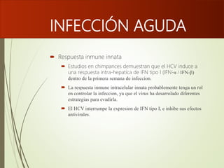 INFECCIÓN AGUDA
 Respuesta inmune innata
 Estudios en chimpances demuestran que el HCV induce a
una respuesta intra-hepatica de IFN tipo I (IFN-α / IFN-β)
dentro de la primera semana de infeccion.
 La respuesta inmune intracelular innata probablemente tenga un rol
en controlar la infeccion, ya que el virus ha desarrolado diferentes
estrategias para evadirla.
 El HCV interrumpe la expresion de IFN tipo I, e inhibe sus efectos
antivirales.
 