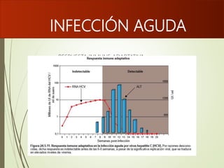 INFECCIÓN AGUDA
 RESPUESTA INMUNE ADAPTATIVA
 