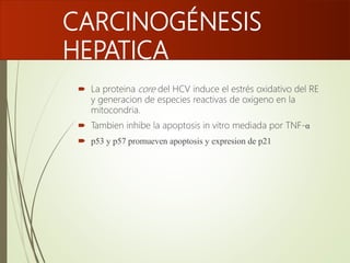 CARCINOGÉNESIS
HEPATICA
 La proteina core del HCV induce el estrés oxidativo del RE
y generacion de especies reactivas de oxigeno en la
mitocondria.
 Tambien inhibe la apoptosis in vitro mediada por TNF-α
 p53 y p57 promueven apoptosis y expresion de p21
 