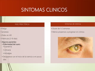 SINTOMAS CLINICOS
FASE PREICTÉRICA
• Fatiga
• anorexia
• Dolor en HD
• Febrícula (2-10 días)
• Algunos pacientes:
• Enfermedad del suero
• Exantema
• Urticaria
• Artralgias
• Desaparece con el inicio de la ictericia o en pocos
días
Síntomas de ictericia
• Duran de 1-2 semanas
• Menos propensos a progresar en crónica
 
