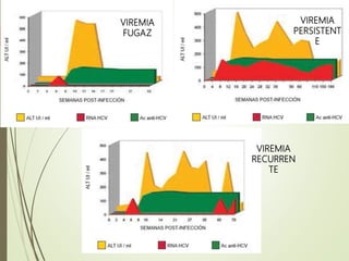 VIREMIA
FUGAZ
VIREMIA
PERSISTENT
E
VIREMIA
RECURREN
TE
 