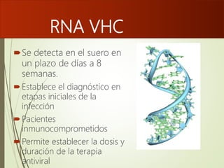 RNA VHC
Se detecta en el suero en
un plazo de días a 8
semanas.
Establece el diagnóstico en
etapas iniciales de la
infección
Pacientes
inmunocomprometidos
Permite establecer la dosis y
duración de la terapia
antiviral
 