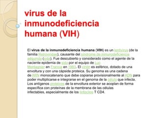 virus de la
inmunodeficiencia
humana (VIH)
El virus de la inmunodeficiencia humana (VIH) es un lentivirus (de la
familia Retroviridae), causante del síndrome de inmunodeficiencia
adquirida (sida). Fue descubierto y considerado como el agente de la
naciente epidemia de sida por el equipo de Luc
Montagnier en Francia en 1983. El virión es esférico, dotado de una
envoltura y con una cápside proteica. Su genoma es una cadena
de ARN monocatenario que debe copiarse provisionalmente al ADN para
poder multiplicarse e integrarse en el genoma de la célula que infecta.
Los antígenos proteicos de la envoltura exterior se acoplan de forma
específica con proteínas de la membrana de las células
infectables, especialmente de los linfocitos T CD4.
 