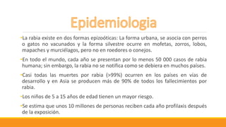 •La rabia existe en dos formas epizoóticas: La forma urbana, se asocia con perros
o gatos no vacunados y la forma silvestre ocurre en mofetas, zorros, lobos,
mapaches y murciélagos, pero no en roedores o conejos.
•En todo el mundo, cada año se presentan por lo menos 50 000 casos de rabia
humana; sin embargo, la rabia no se notifica como se debiera en muchos países.
•Casi todas las muertes por rabia (>99%) ocurren en los países en vías de
desarrollo y en Asia se producen más de 90% de todos los fallecimientos por
rabia.
•Los niños de 5 a 15 años de edad tienen un mayor riesgo.
•Se estima que unos 10 millones de personas reciben cada año profilaxis después
de la exposición.
 