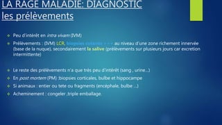 Biogen Rage Intra Virus de la rage | PPTX