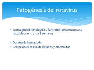  la integridad histológica y funcional  de la mucosa se restablece entre 3 a 8 semanasDurante la fase aguda:Secreción excesiva de líquidos y electrolitosPatogénesis del rotavirus