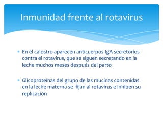 En el calostro aparecen anticuerpos IgA secretorios contra el rotavirus, que se siguen secretando en la leche muchos meses después del partoGlicoproteínas del grupo de las mucinas contenidas en la leche materna se  fijan al rotavirus e inhiben su replicaciónInmunidad frente al rotavirus