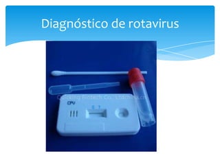 Diagnóstico de rotavirus