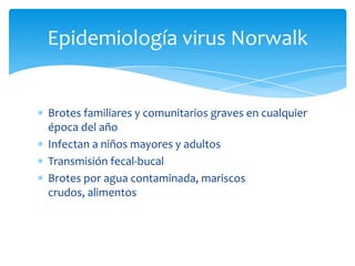 Brotes familiares y comunitarios graves en cualquier época del añoInfectan a niños mayores y adultosTransmisión fecal-bucalBrotes por agua contaminada, mariscos crudos, alimentosEpidemiología virus Norwalk