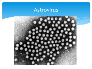 Astrovirus