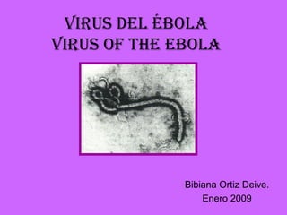 Virus del Ébola
Virus of the ebola
Bibiana Ortiz Deive.
Enero 2009
 