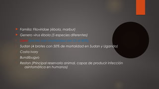  Familia: Filoviridae (ébola, marbur) 
 Genero virus ébola (5 especies diferentes) 
- Zaire (brotes con mortalidad del 5...