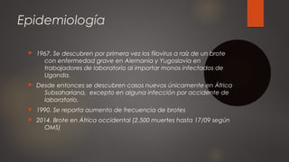 Epidemiología 
 1967. Se descubren por primera vez los filovirus a raíz de un brote 
con enfermedad grave en Alemania y Y...