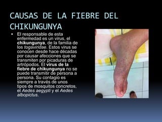 CAUSAS DE LA FIEBRE DEL 
CHIKUNGUNYA 
 El responsable de esta 
enfermedad es un virus, el 
chikungunya, de la familia de 
los togaviridae. Estos virus se 
conocen desde hace décadas 
por causar afecciones que se 
transmiten por picaduras de 
artrópodos. El virus de la 
fiebre de chikungunya no se 
puede transmitir de persona a 
persona. Su contagio es 
siempre a través de unos 
tipos de mosquitos concretos, 
el Aedes aegypti y el Aedes 
albopictus. 
 
