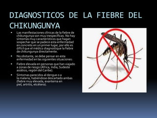 DIAGNOSTICOS DE LA FIEBRE DEL 
CHIKUNGUNYA 
 Las manifestaciones clínicas de la fiebre de 
chikungunya son muy inespecíficas. No hay 
síntomas muy característicos que hagan 
sospechar que se padece esta enfermedad 
en concreto en un primer lugar, por ello es 
difícil que el médico diagnostique la fiebre 
de chikungunya directamente. 
 No obstante, se debe pensar en esta 
enfermedad en las siguientes situaciones: 
 Fiebre elevada en personas que han viajado 
a zonas de riesgo (África, India, Sudeste 
asiático, región del Caribe). 
 Síntomas parecidos al dengue o a 
la malaria, habiéndose descartado ambas 
(fiebre muy elevada, exantema en 
piel, artritis, etcétera). 
 