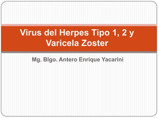 Virus del Herpes Tipo 1, 2 y
      Varicela Zoster
  Mg. Blgo. Antero Enrique Yacarini
 