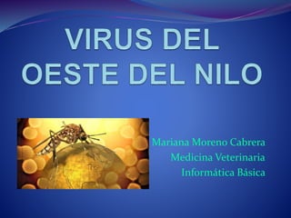 Mariana Moreno Cabrera
Medicina Veterinaria
Informática Básica
 