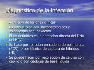 Diagnostico de la infección Aparición de lesiones clínicas. Estudio citológicos, histopatológicos y colposcopia son inexactos. El dx definitivo es la detección directa del DNA del HPV.  Se hace por reacción en cadena de polimerasa (PCR), o por técnica de captura de híbridos (HC). Se puede hacer por recolección de células con cepillo o con citología de base líquida 
