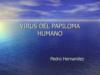 VIRUS DEL PAPILOMA HUMANO Pedro Hernandez 