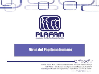 Virus del Papiloma humano 