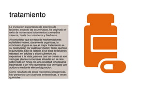 tratamiento
La involucion espontanea de este tipo de
lesiones, excepto las acuminadas, ha originado el
exito de numerosos tratamientos y remedios
caseros, hasta de curanderos y hierberos.
Al considerar que se trata de neoformaciones
epiteliales virales, claramente organicas, la
conclusion logica es que el mejor tratamiento es
su destruccion por cualquier medio: fisico, quimico
o quirurgico. Eso es factible si se trata de lesiones
escasas, en adultos y sitios cubiertos, no
expuestos a la vista; pero es casi un crimen si son
verrugas planas numerosas situadas en la cara,
sobre todo en ninos. Es una crueldad innecesaria
traumatizar a un niño quemando sus verrugas con
acidos o mediante electrofulguracion.
Como resultado de estas maniobras iatrogenicas,
hay personas con cicatrices antiesteticas, a veces
queloides.
 