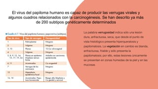 El virus del papiloma humano es capaz de producir las verrugas virales y
algunos cuadros relacionados con la carcinogénesis. Se han descrito ya más
de 200 subtipos genéticamente determinados
La palabra verrugosidad indica sólo una lesión
dura, anfractuosa, seca, que desde el punto de
vista histológico presenta hiperqueratosis y
papilomatosis. La vegetación en cambio es blanda,
anfractuosa, friable y sólo presenta la
papilomatosis; por ello, estas lesiones únicamente
se presentan en zonas húmedas de la piel y en las
mucosas
 