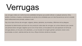 Verrugas
Las verrugas virales son neoformaciones epiteliales benignas que pueden afectar a cualquier persona: niños,
adultos, hombres y mujeres, constituyendo una de las cinco entidades que con más frecuencia se ven en consulta
tanto institucional como privada, urbana o rural.
Hay cinco tipos clínicos de verrugas: vulgares, planas, plantares, acuminadas y filiformes de los pliegues.
Aunquese ha determinado qué tipos de virus producen cada clase de verrugas, es curioso observar que cuando
una persona tiene verrugas vulgares que se ven en las manos, al inocularse en la cara aparecen en forma de
verrugas planas y en los pies como plantares, y si se inoculan en la región genital o perianal, crecen como
acuminadas, es decir, además del tipo de virus, influye el terreno donde se inoculan.
 